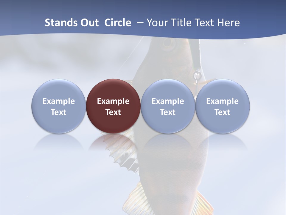 Wildlife Shore Sunny PowerPoint Template