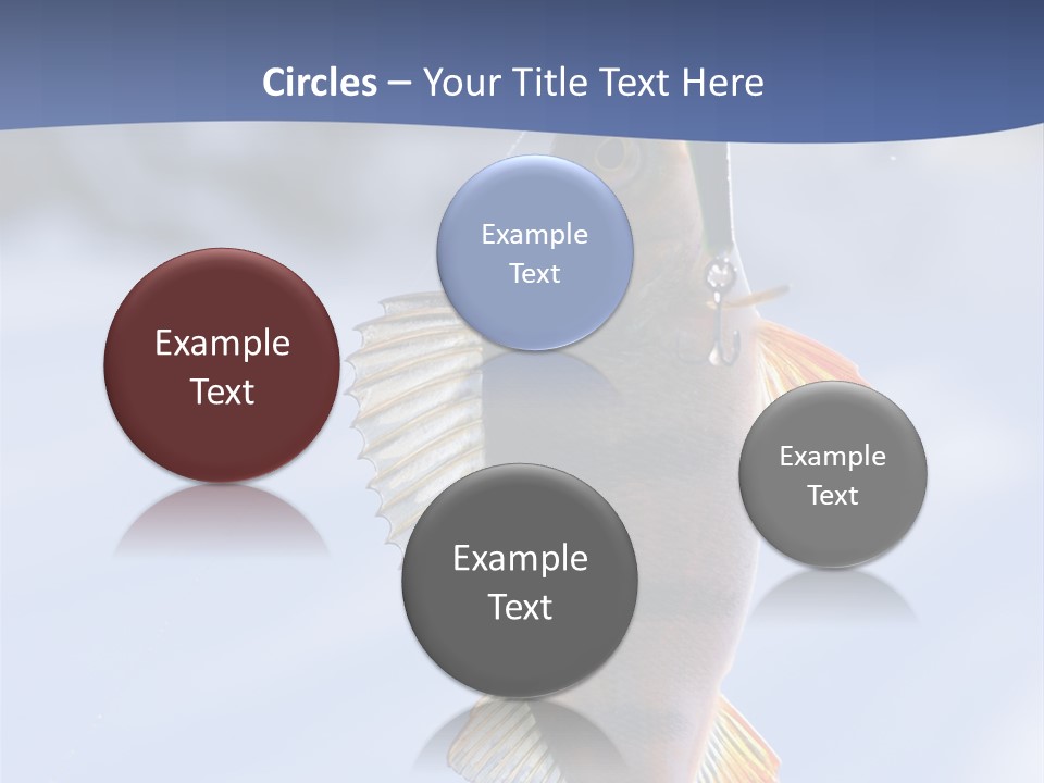 Wildlife Shore Sunny PowerPoint Template