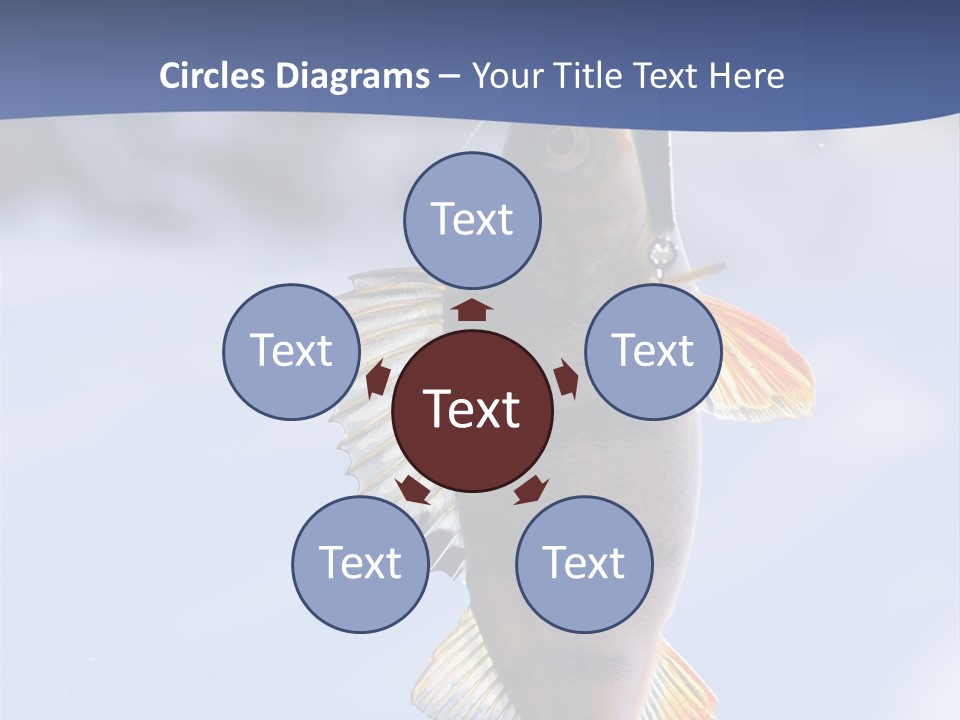 Wildlife Shore Sunny PowerPoint Template