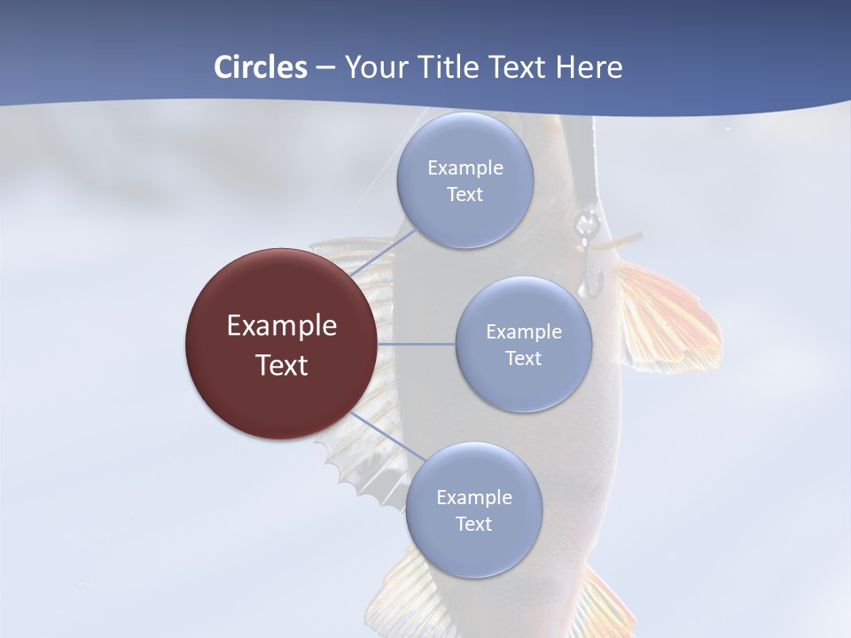 Wildlife Shore Sunny PowerPoint Template