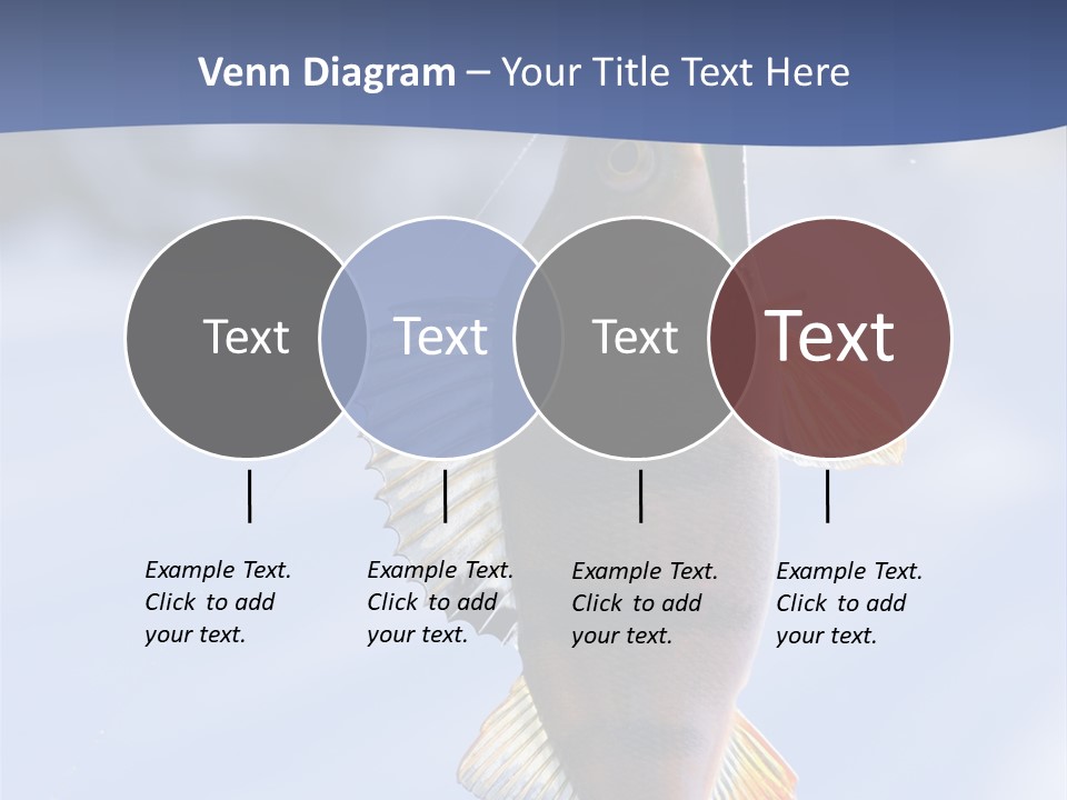 Wildlife Shore Sunny PowerPoint Template