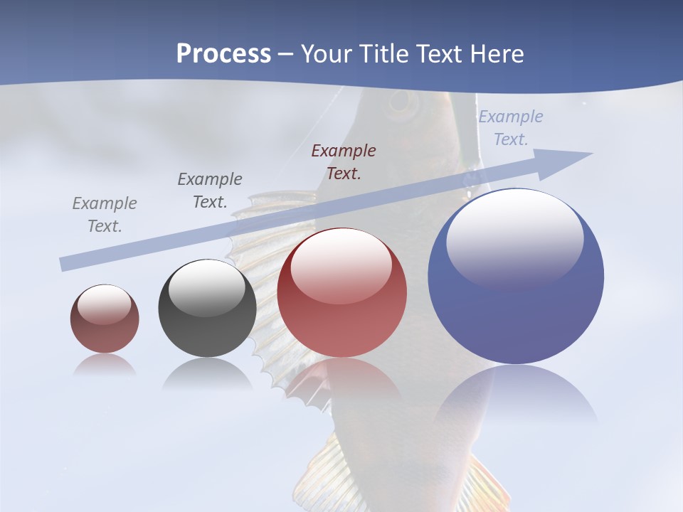 Wildlife Shore Sunny PowerPoint Template