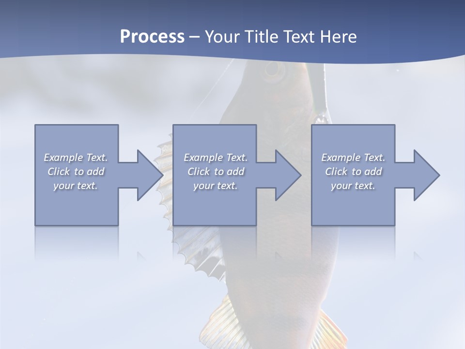 Wildlife Shore Sunny PowerPoint Template