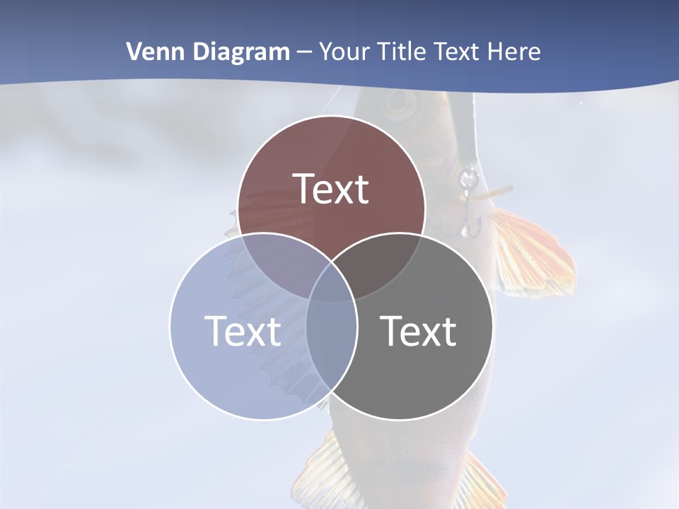 Wildlife Shore Sunny PowerPoint Template