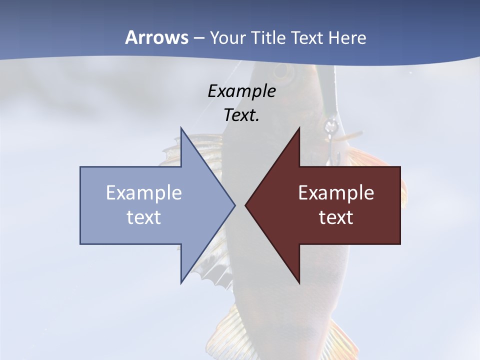 Wildlife Shore Sunny PowerPoint Template