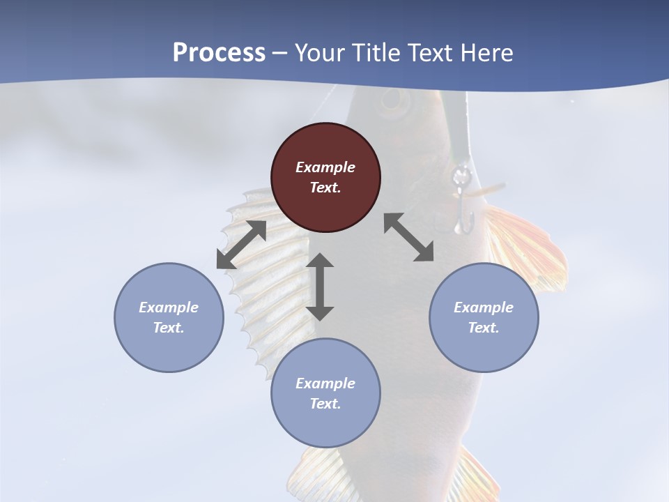 Wildlife Shore Sunny PowerPoint Template