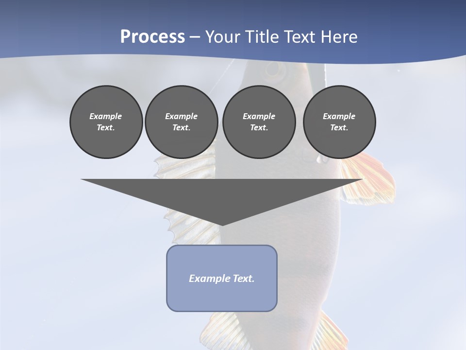 Wildlife Shore Sunny PowerPoint Template