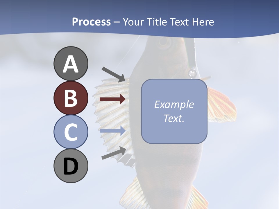 Wildlife Shore Sunny PowerPoint Template