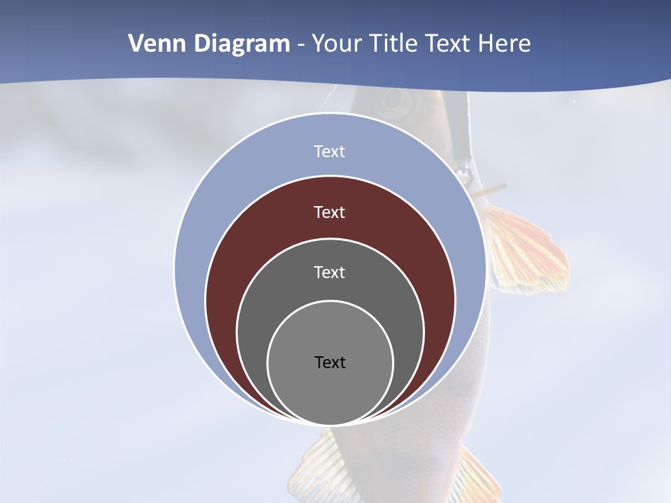 Wildlife Shore Sunny PowerPoint Template