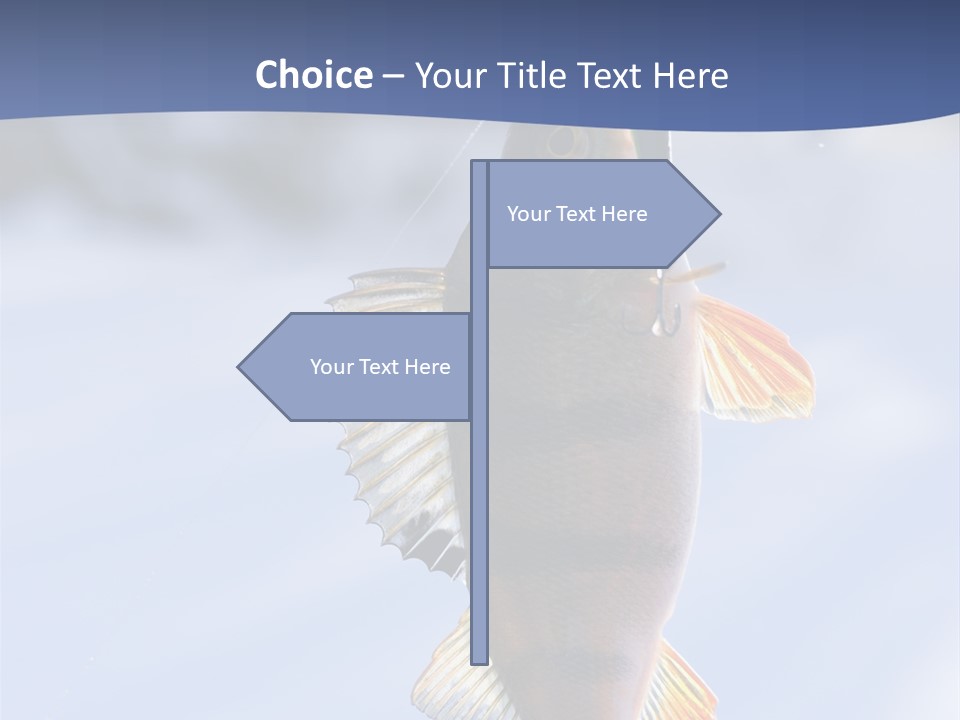 Wildlife Shore Sunny PowerPoint Template