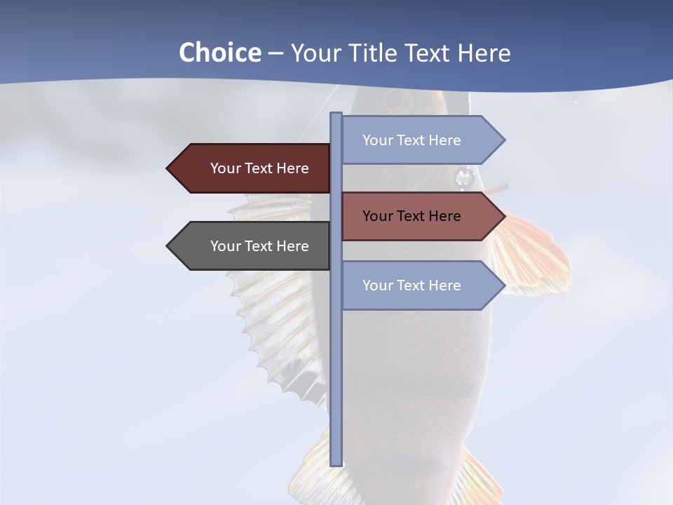 Wildlife Shore Sunny PowerPoint Template