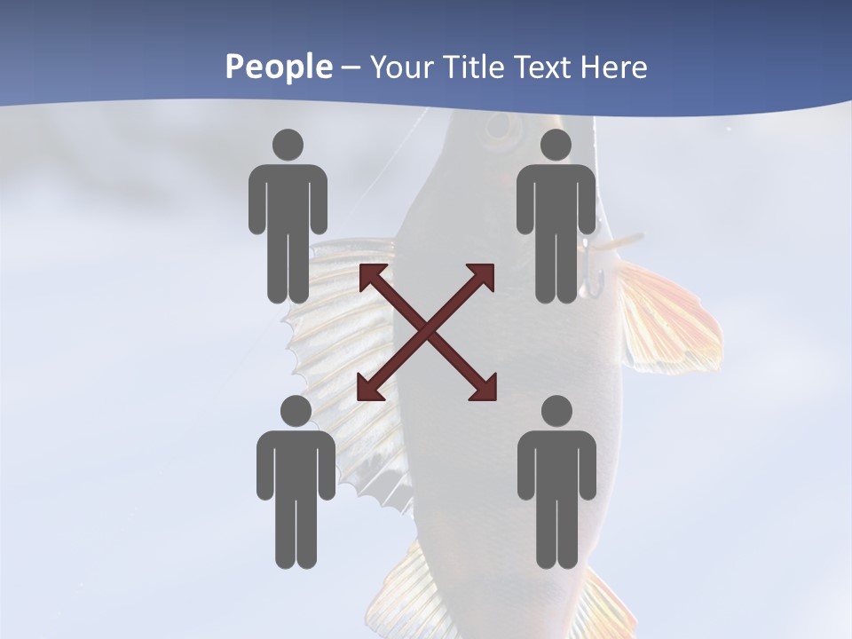 Wildlife Shore Sunny PowerPoint Template