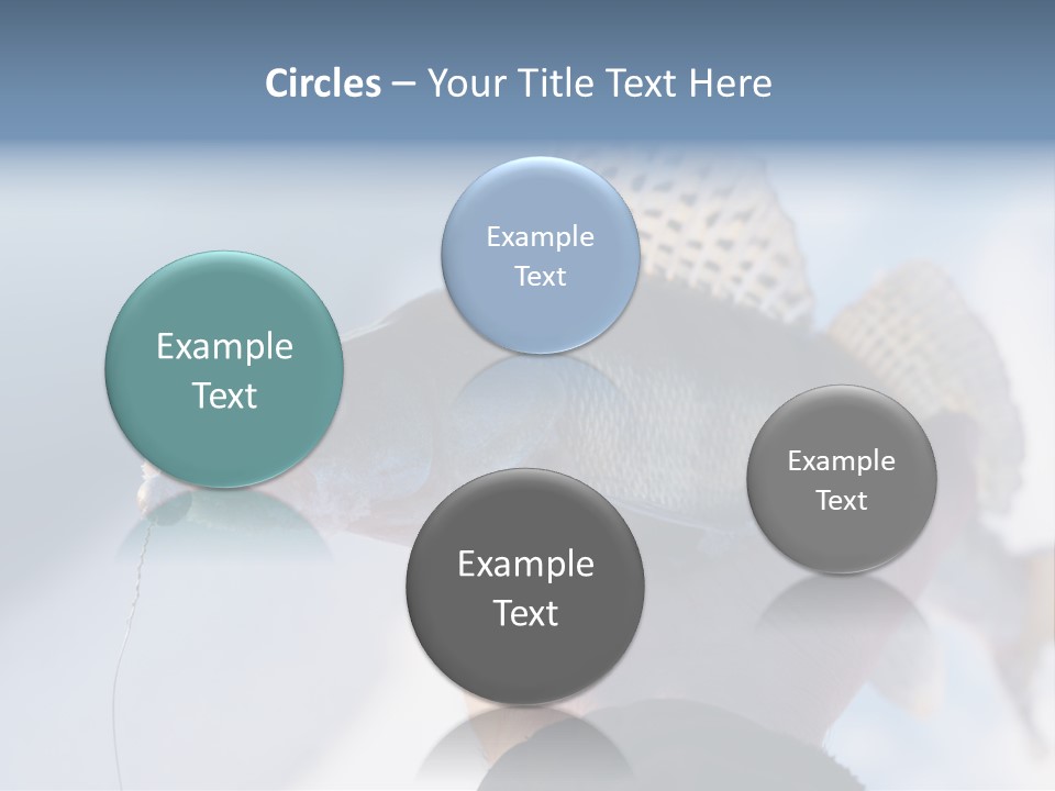 Jerkbait Scales Water PowerPoint Template