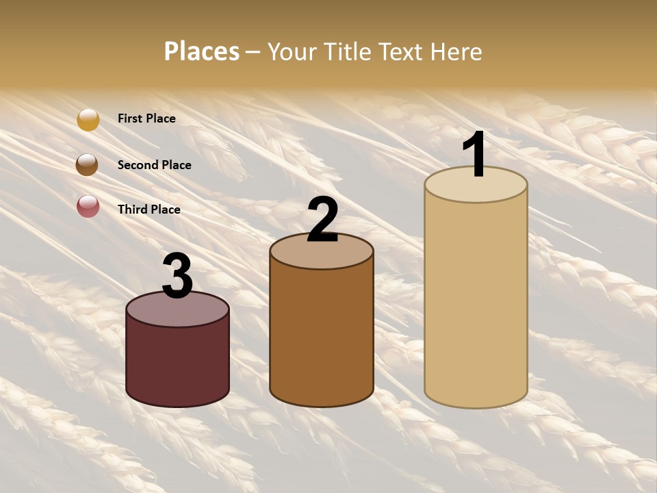 Nature Texture Space PowerPoint Template