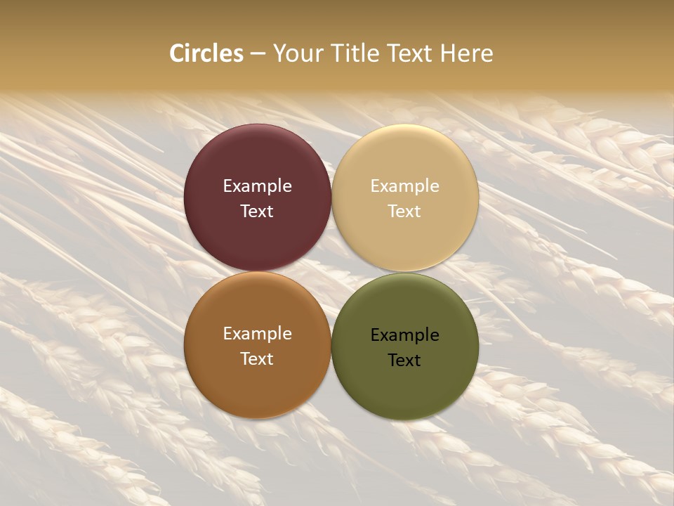 Nature Texture Space PowerPoint Template