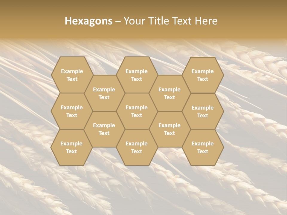 Nature Texture Space PowerPoint Template