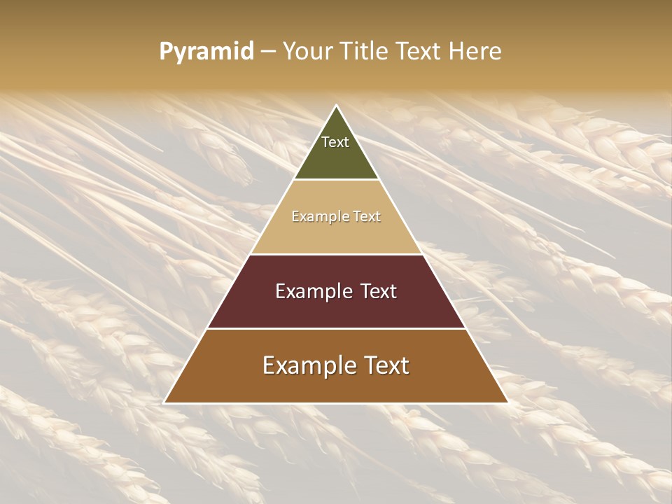 Nature Texture Space PowerPoint Template