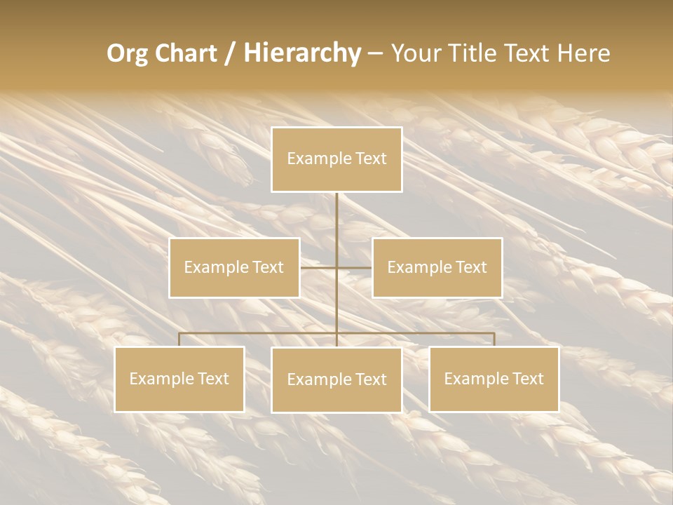 Nature Texture Space PowerPoint Template