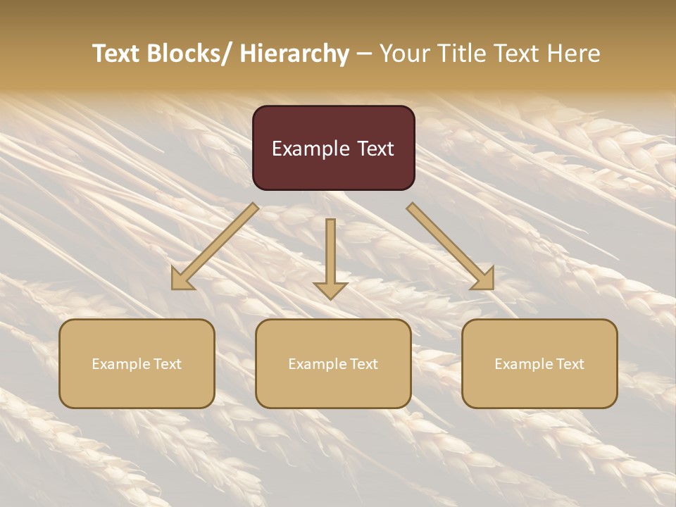 Nature Texture Space PowerPoint Template