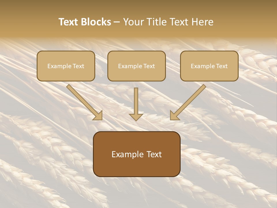 Nature Texture Space PowerPoint Template
