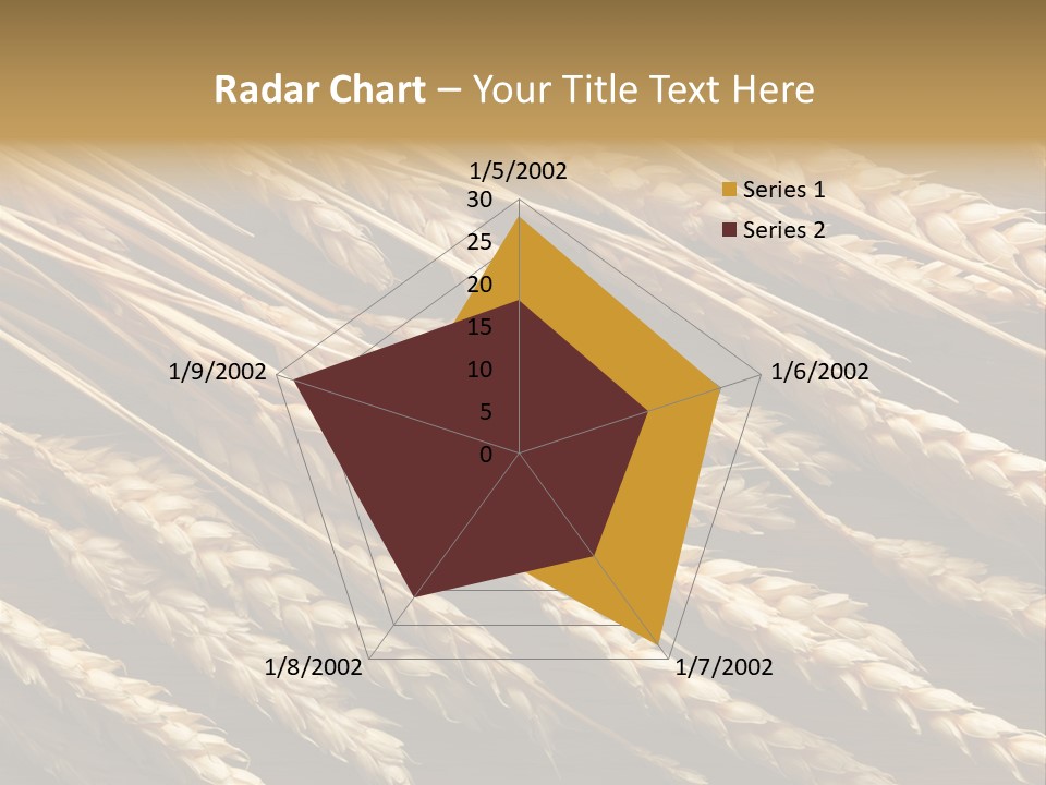 Nature Texture Space PowerPoint Template