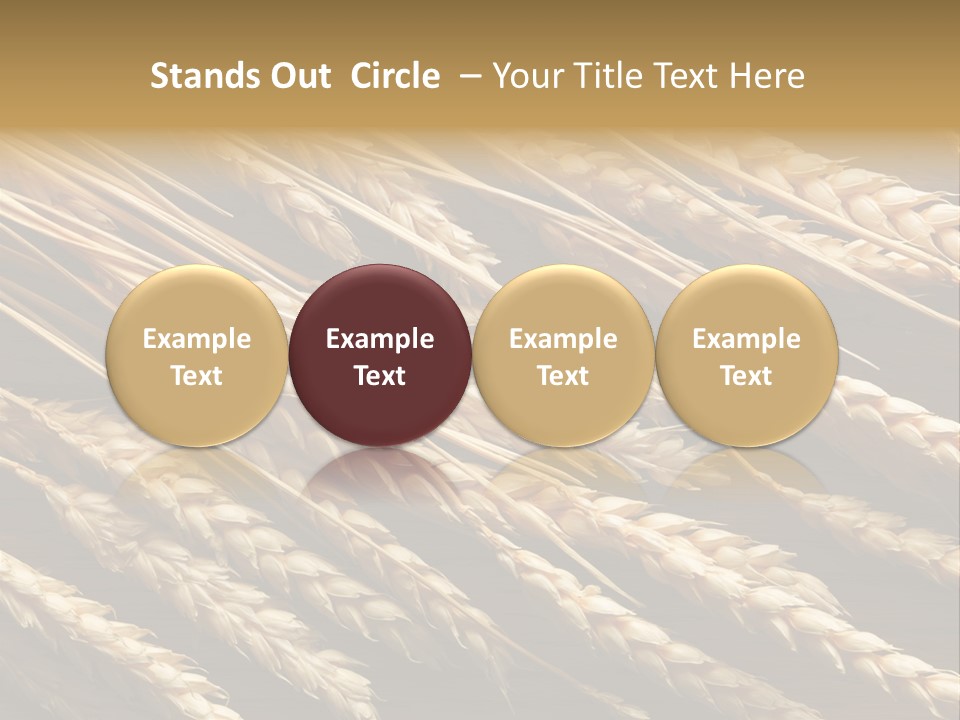 Nature Texture Space PowerPoint Template