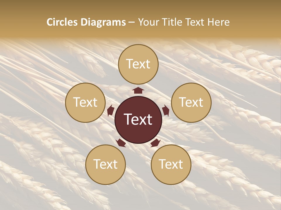 Nature Texture Space PowerPoint Template