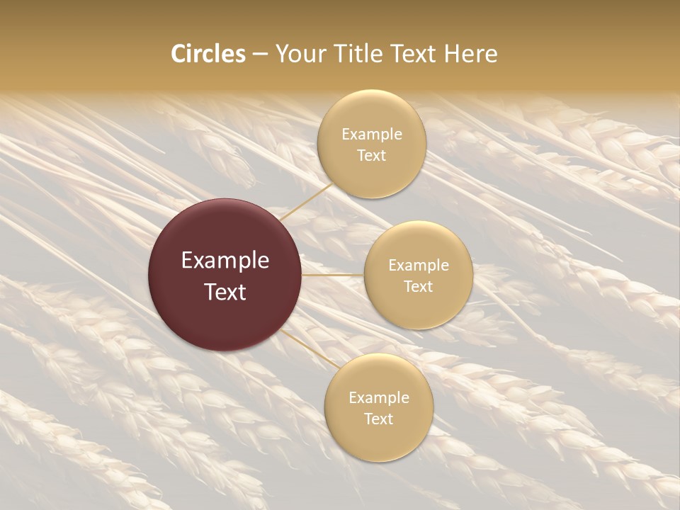 Nature Texture Space PowerPoint Template