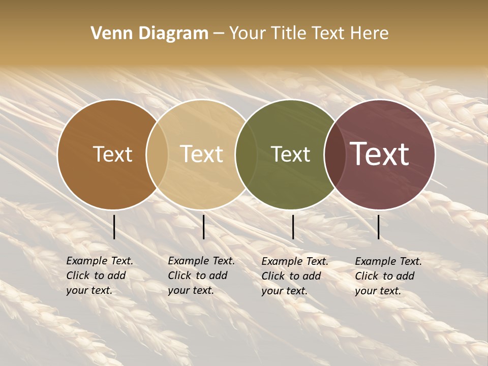 Nature Texture Space PowerPoint Template