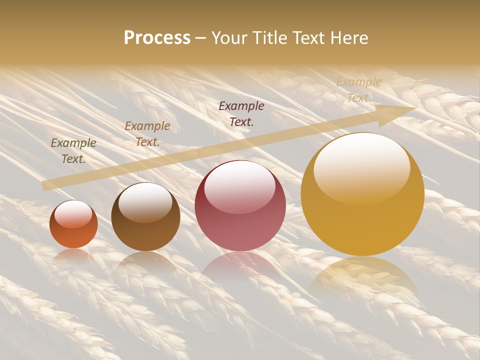 Nature Texture Space PowerPoint Template