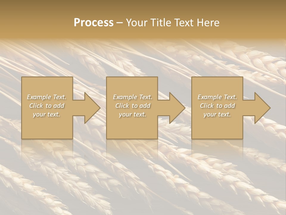 Nature Texture Space PowerPoint Template