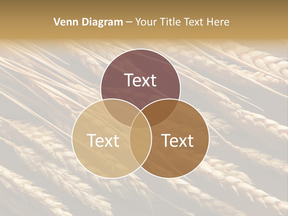 Nature Texture Space PowerPoint Template