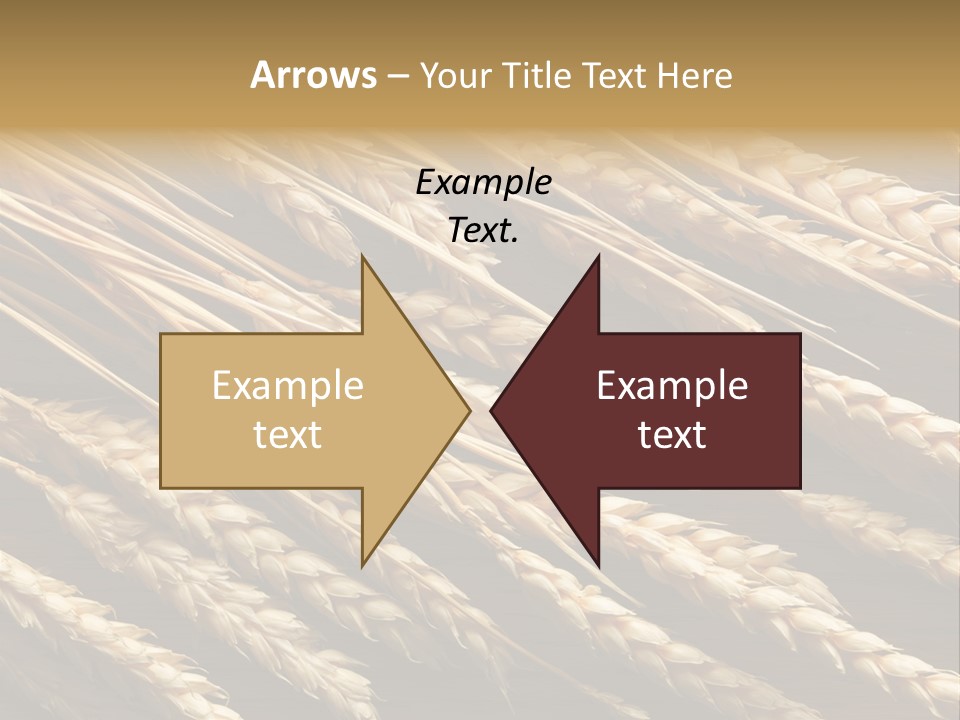Nature Texture Space PowerPoint Template