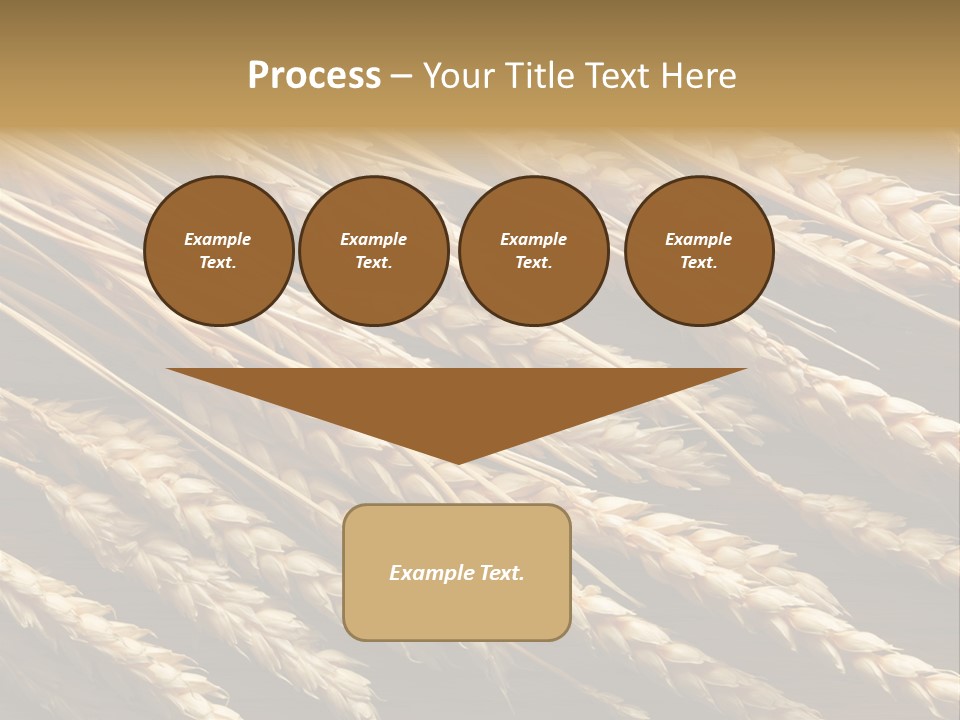 Nature Texture Space PowerPoint Template