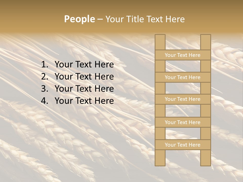 Nature Texture Space PowerPoint Template