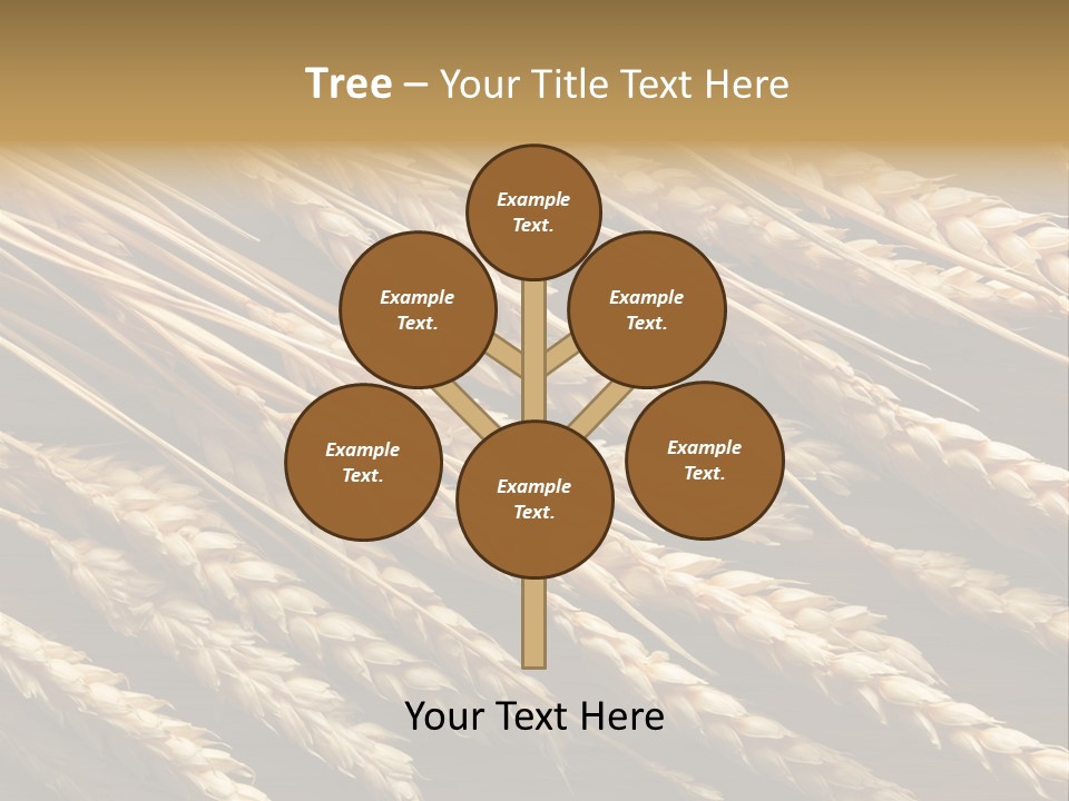 Nature Texture Space PowerPoint Template