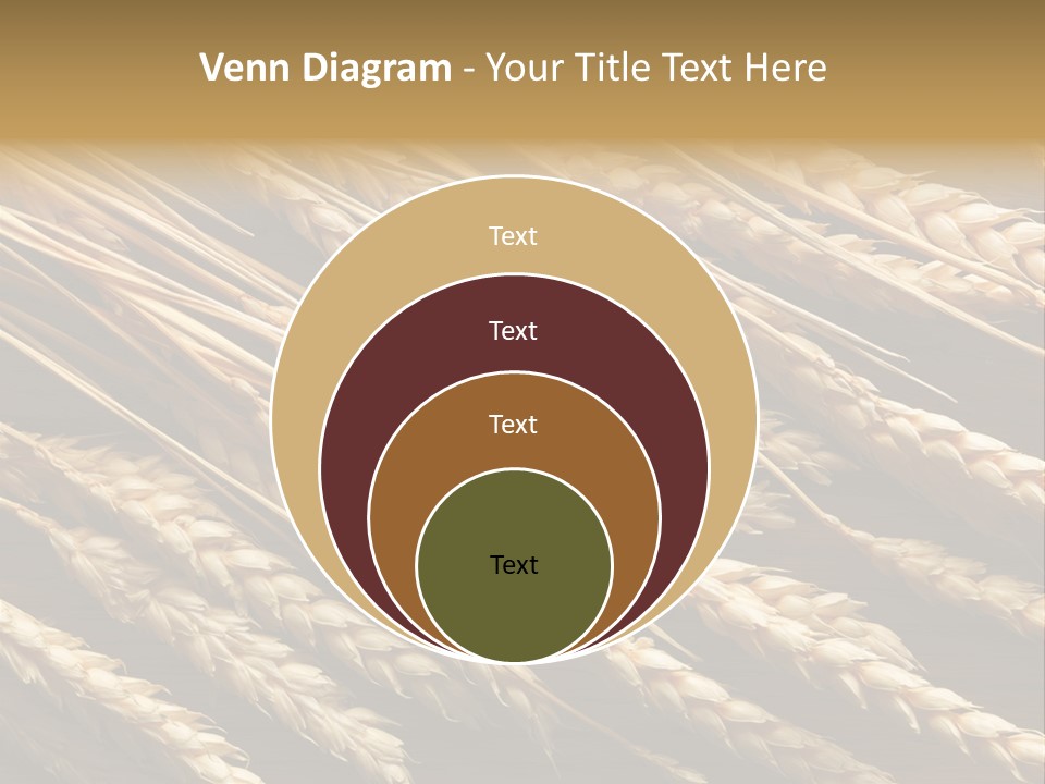 Nature Texture Space PowerPoint Template