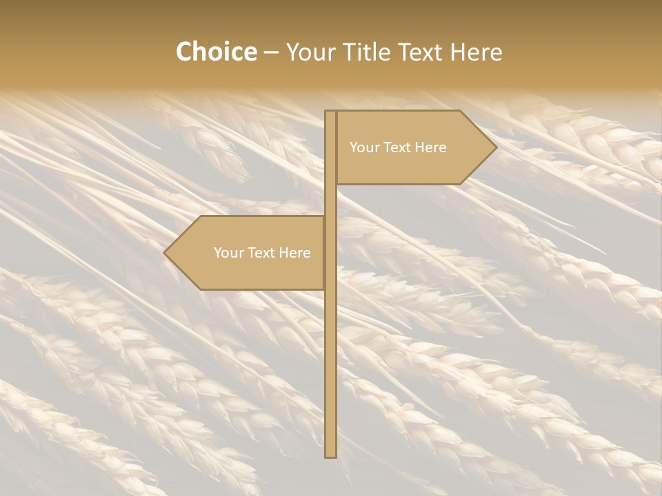Nature Texture Space PowerPoint Template