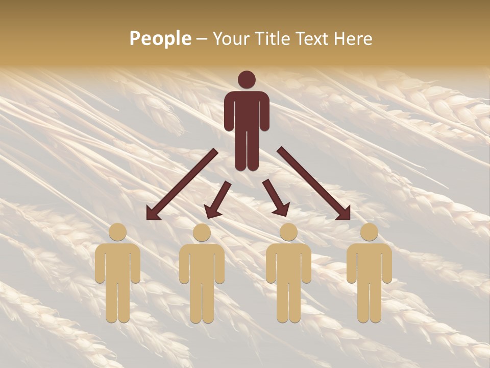 Nature Texture Space PowerPoint Template