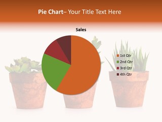 A Group Of Three Potted Plants Sitting Next To Each Other PowerPoint Template