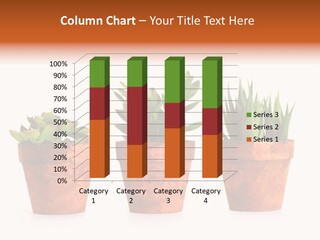 A Group Of Three Potted Plants Sitting Next To Each Other PowerPoint Template