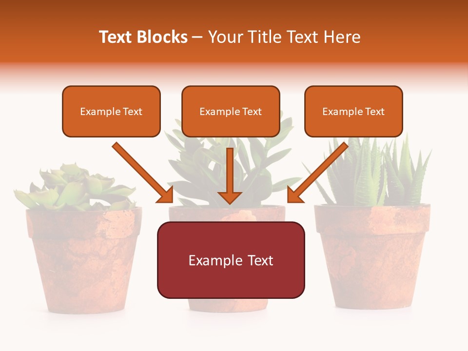 A Group Of Three Potted Plants Sitting Next To Each Other PowerPoint Template