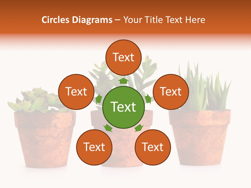 A Group Of Three Potted Plants Sitting Next To Each Other PowerPoint Template