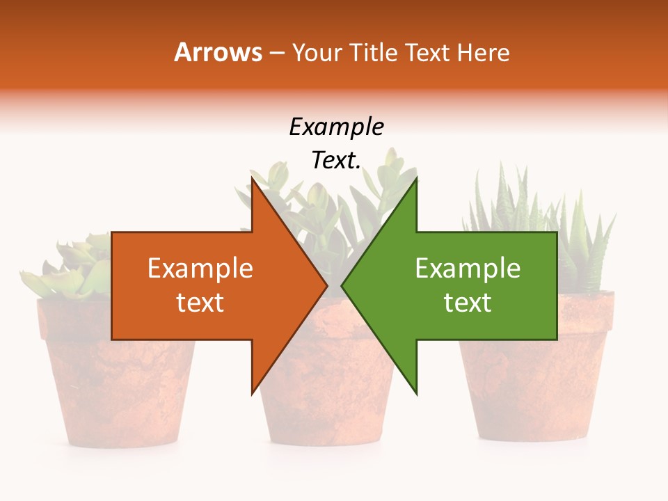 A Group Of Three Potted Plants Sitting Next To Each Other PowerPoint Template