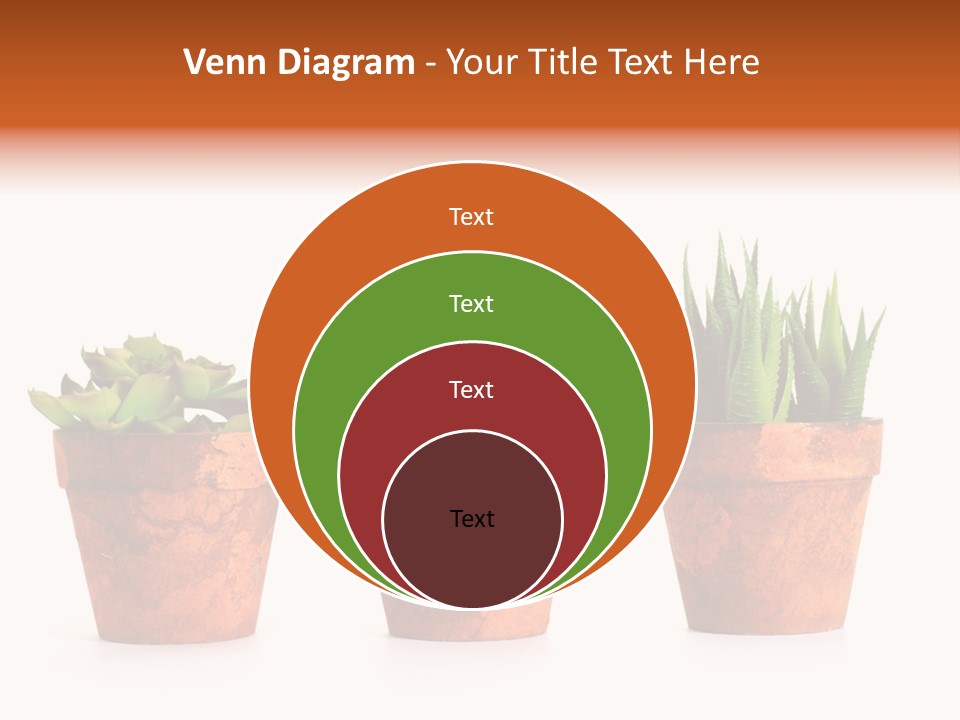 A Group Of Three Potted Plants Sitting Next To Each Other PowerPoint Template