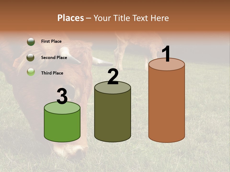 Isolated Cheese Yellow PowerPoint Template