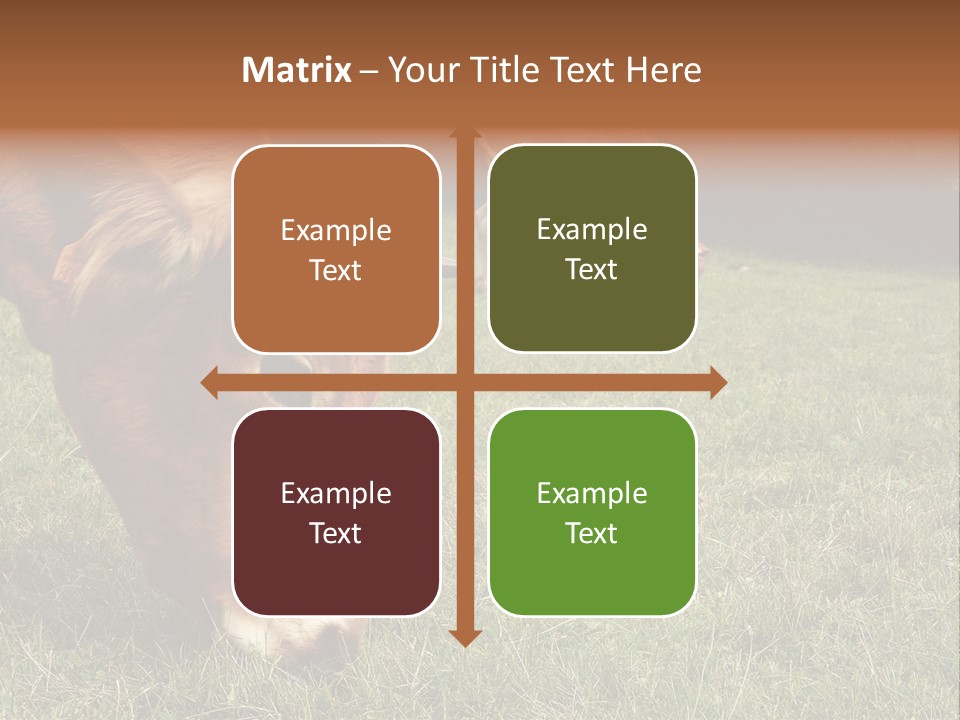 Isolated Cheese Yellow PowerPoint Template