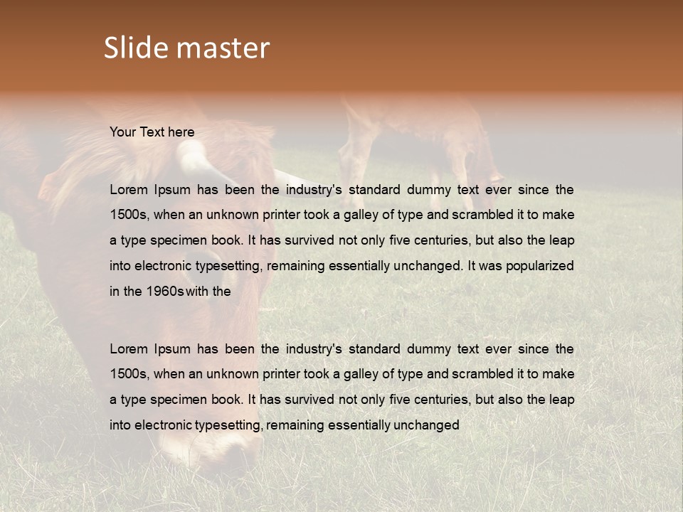 Isolated Cheese Yellow PowerPoint Template