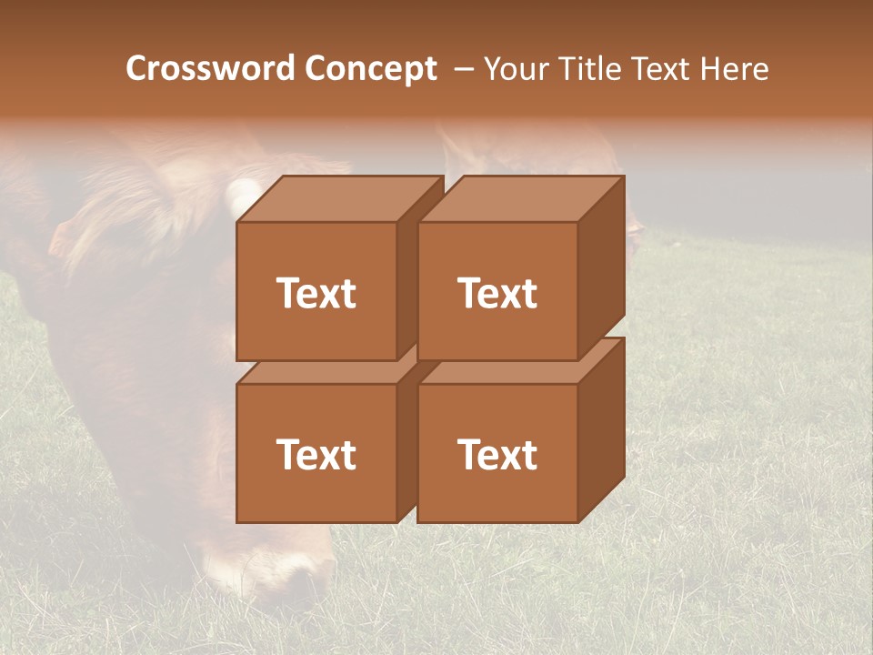 Isolated Cheese Yellow PowerPoint Template