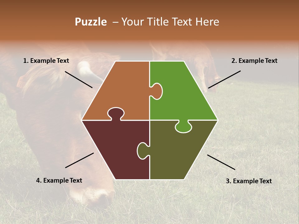 Isolated Cheese Yellow PowerPoint Template